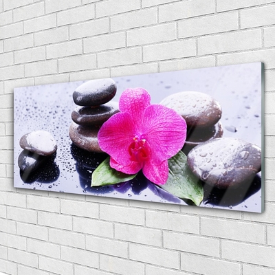 Glass Wall Art Flower stones art red black