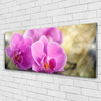 Glass Wall Art Flowers floral pink