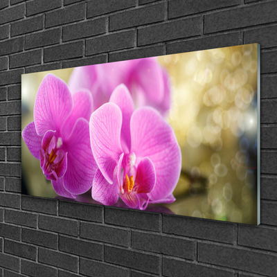 Glass Wall Art Flowers floral pink