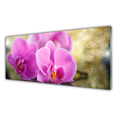 Glass Wall Art Flowers floral pink