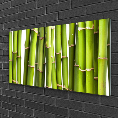 Glass Wall Art Bamboo canes floral green