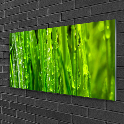 Glass Wall Art Grass nature green