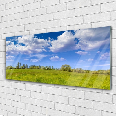 Glass Wall Art Meadow grass landscape green