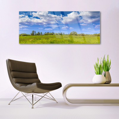 Glass Wall Art Meadow grass landscape green