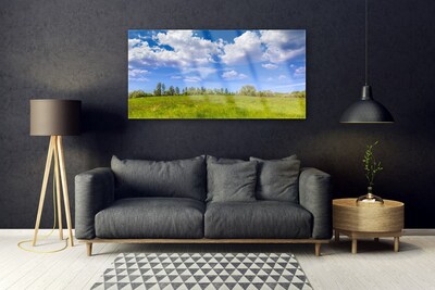 Glass Wall Art Meadow grass landscape green