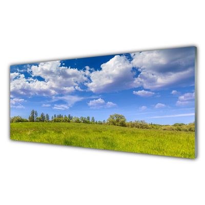 Glass Wall Art Meadow grass landscape green