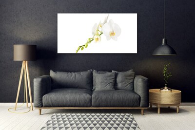 Glass Wall Art Flowers floral white