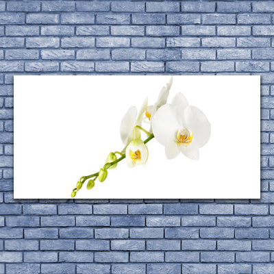 Glass Wall Art Flowers floral white