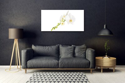 Glass Wall Art Flowers floral white