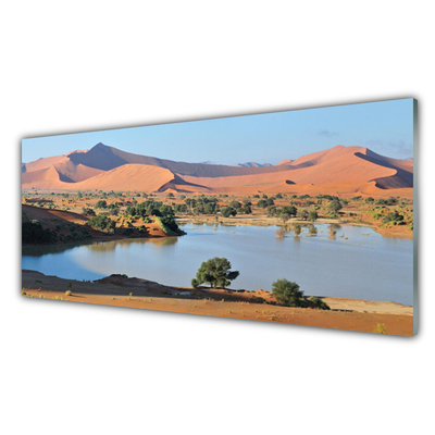 Glass Wall Art Bay desert landscape brown green blue