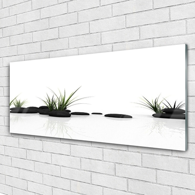 Glass Wall Art Grass stones art black green