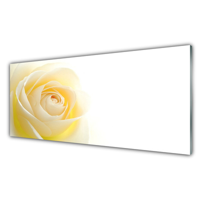 Glass Wall Art Rose floral white yellow