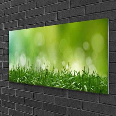Glass Wall Art Weed nature green