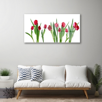 Glass Wall Art Tulips floral red