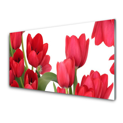 Glass Wall Art Tulips floral red