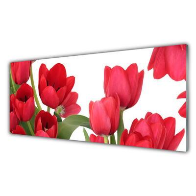 Glass Wall Art Tulips floral red