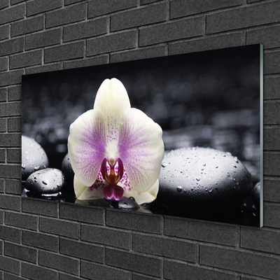 Glass Wall Art Flower stones floral pink white black