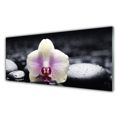 Glass Wall Art Flower stones floral pink white black