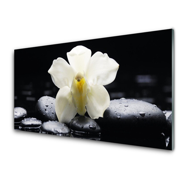 Glass Wall Art Flower stones floral white black