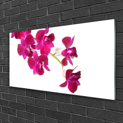 Glass Wall Art Flowers floral red