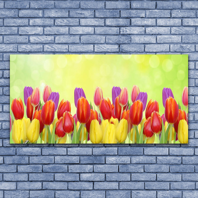 Glass Wall Art Tulips floral yellow red pink