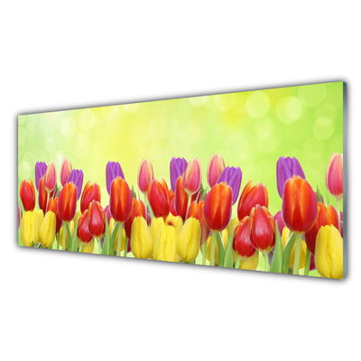 Glass Wall Art Tulips floral yellow red pink