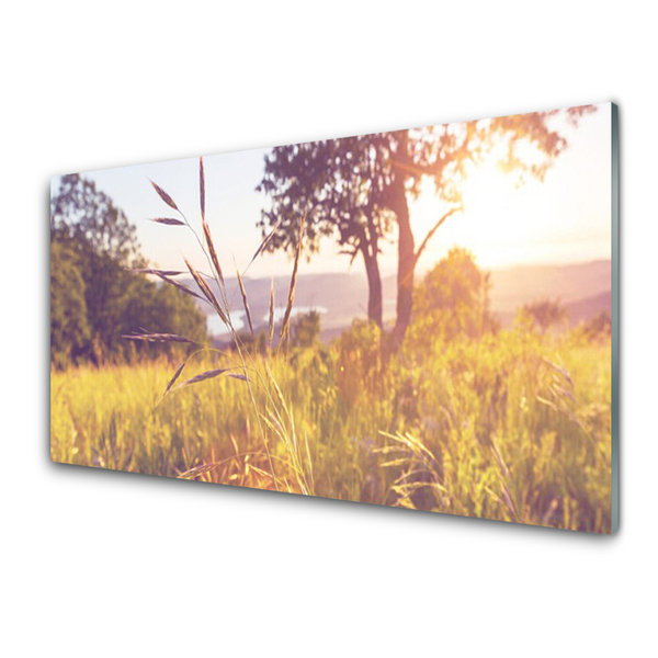 Glass Wall Art Meadow grass tree nature green brown