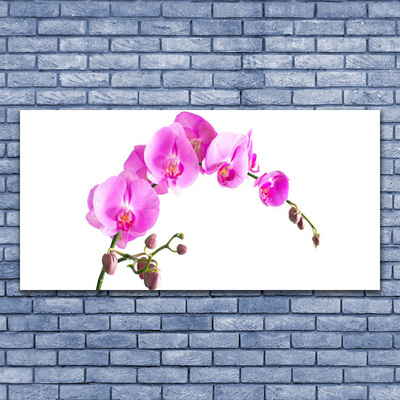 Glass Wall Art Flowers floral pink