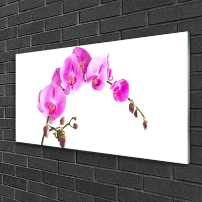 Glass Wall Art Flowers floral pink