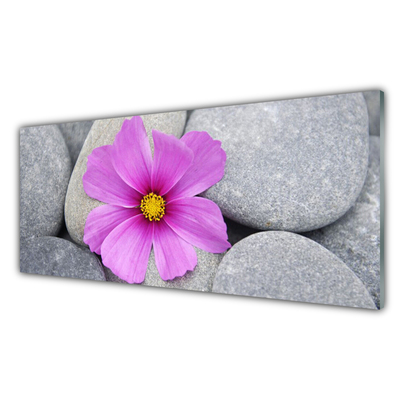 Glass Wall Art Flower stones floral pink grey