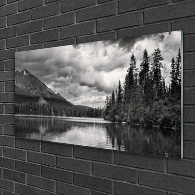 Glass Wall Art Mountain forest lake nature grey