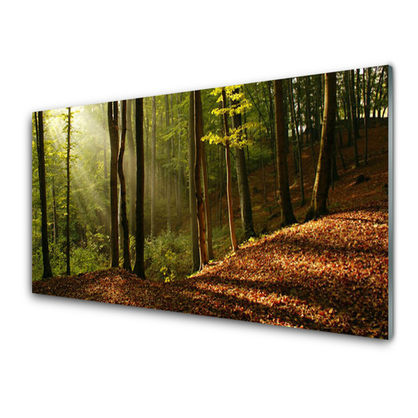 Glass Wall Art Forest nature brown green