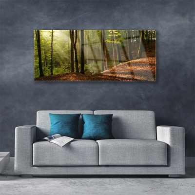 Glass Wall Art Forest nature brown green