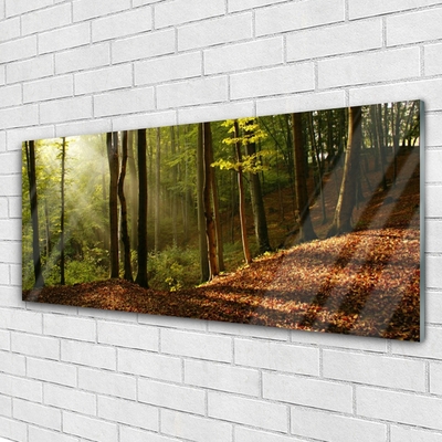 Glass Wall Art Forest nature brown green