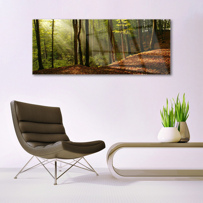 Glass Wall Art Forest nature brown green