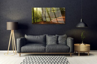 Glass Wall Art Forest nature brown green