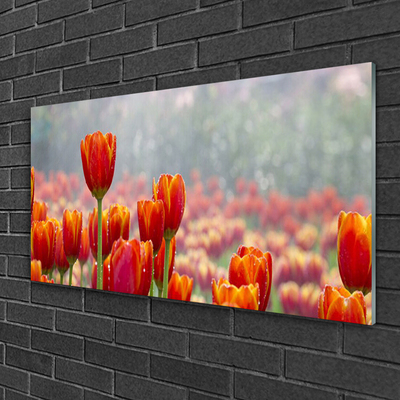 Glass Wall Art Tulips floral red