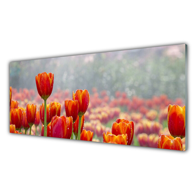 Glass Wall Art Tulips floral red