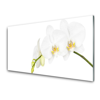 Glass Wall Art Flowers floral white