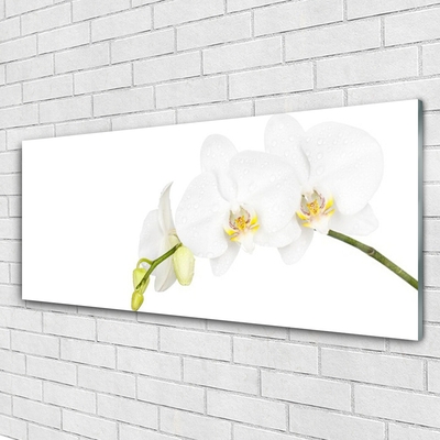 Glass Wall Art Flowers floral white