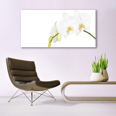 Glass Wall Art Flowers floral white