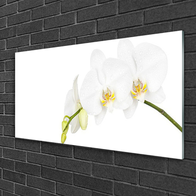 Glass Wall Art Flowers floral white