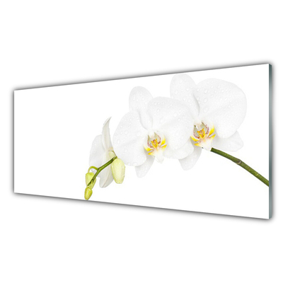 Glass Wall Art Flowers floral white