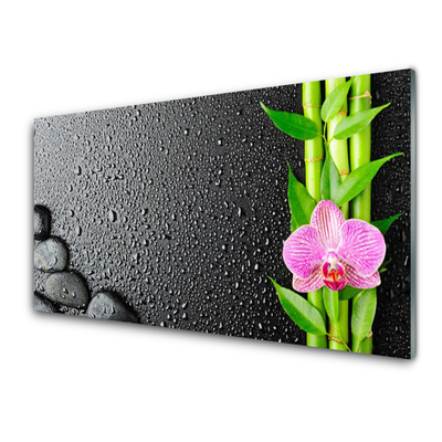 Glass Wall Art Bamboo stalk flower stones floral green pink black