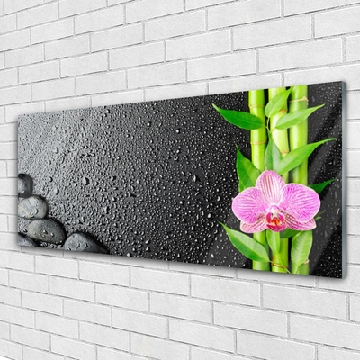 Glass Wall Art Bamboo stalk flower stones floral green pink black