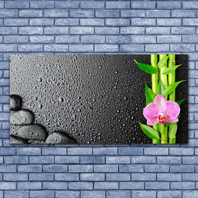 Glass Wall Art Bamboo stalk flower stones floral green pink black