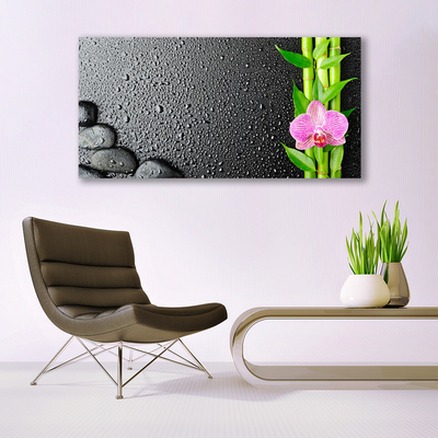 Glass Wall Art Bamboo stalk flower stones floral green pink black