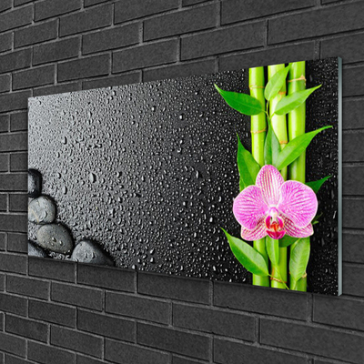 Glass Wall Art Bamboo stalk flower stones floral green pink black