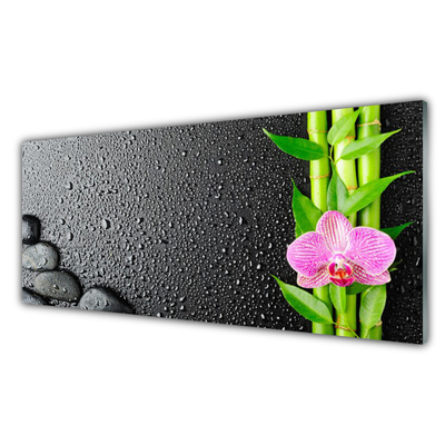 Glass Wall Art Bamboo stalk flower stones floral green pink black