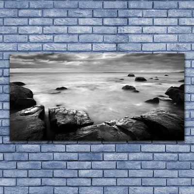 Glass Wall Art Rock sea landscape grey